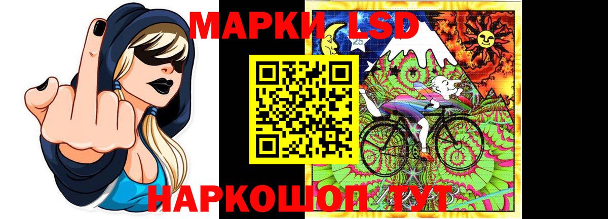 МЕФ Домодедово