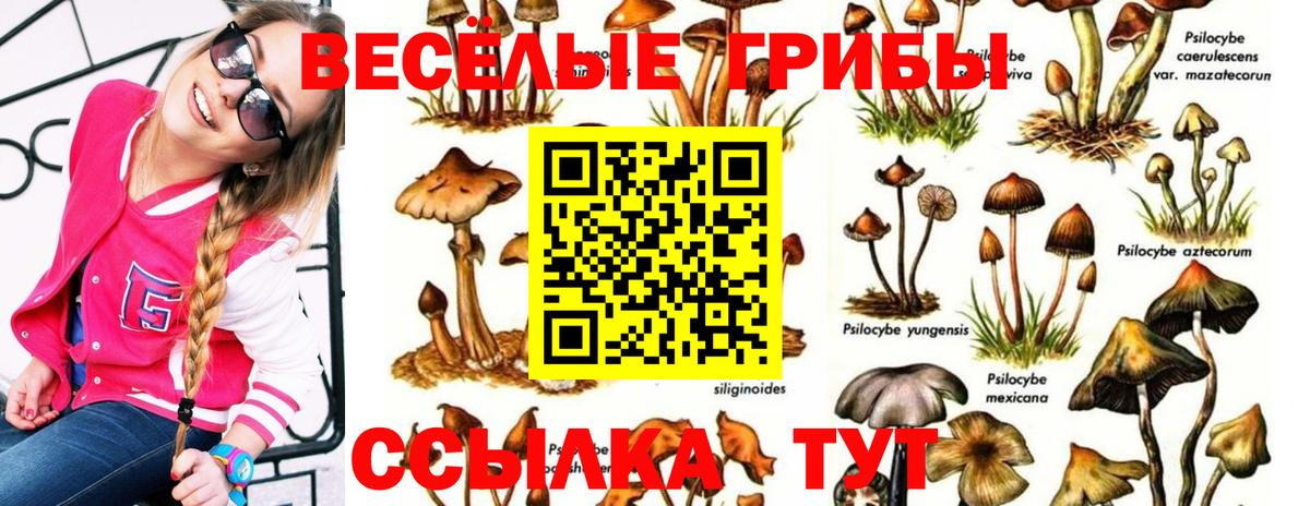 Галлюциногенные грибы ЛСД Домодедово