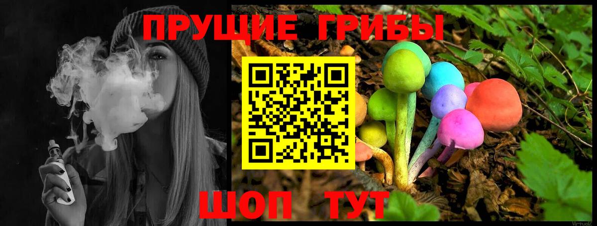 Домодедово  Галлюциногенные грибы GOLDEN TEACHER  Вход с VPN  Галлюциногенные грибы GOLDEN TEACHER 